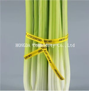 Tiskana pet zelenjava twist kravato